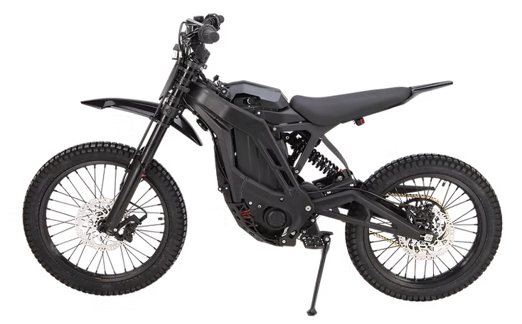 E Ride Pro Pro SS 3.0